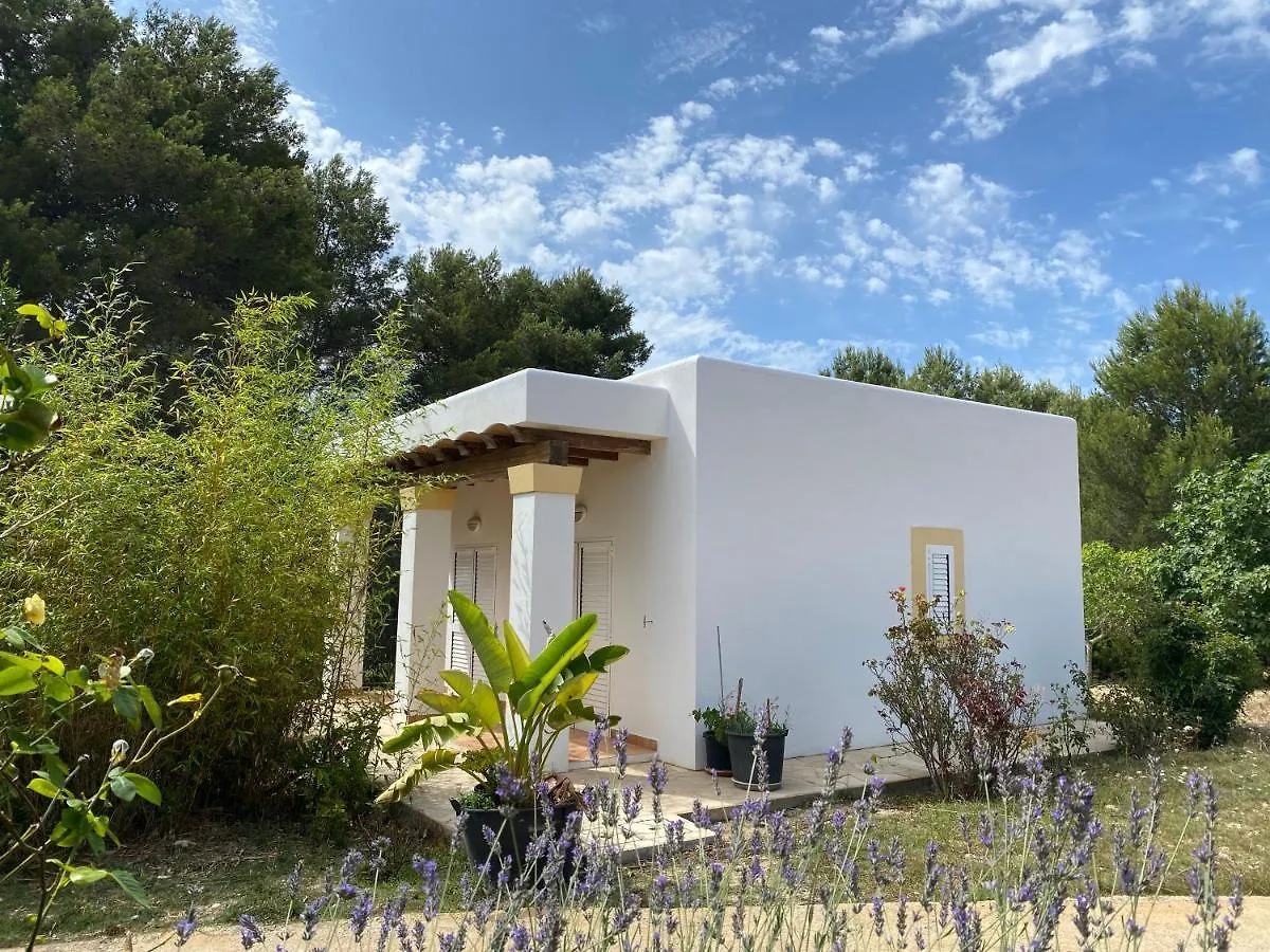 Santa Gertrudis  Villa Can Toni Miqueli ספרד